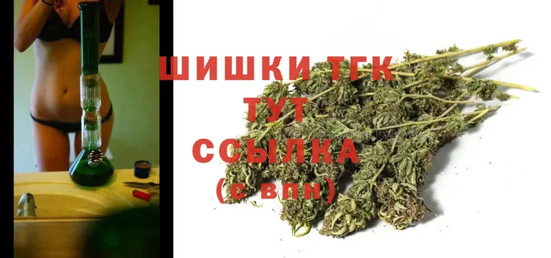 где найти   Кизляр  Конопля SATIVA & INDICA 